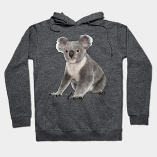 Koala Hoodie